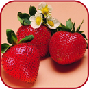 Strawberry HD Wallpaper APK