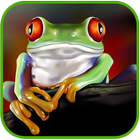 Frog HD Wallpaper icône