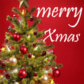 Christmas GIF & Status
