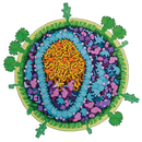 CROI APK