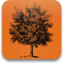 The Anne Frank Project 2013 APK