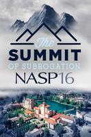 NASP 2016 Annual Conference ポスター
