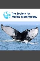 Marine Mammalogy Conferences Plakat