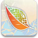 APK ESMO 15th World Congress