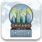 ICE/ENDO 2014 icon