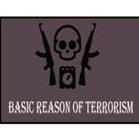 Causes of Terrorism