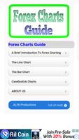 Forex Charts Guide Affiche