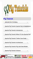 Pig Tutorial Affiche