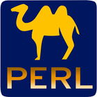 PERL Tutorials For Beginners icon