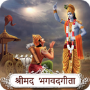 Bhagvad Gita Audio: 18 Adhyays APK