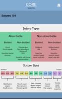 Core: Clerkships imagem de tela 1