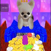 Coin Dog icon