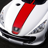 Thema mit dem Peugeot