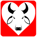 Cow Lovers