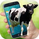 Vache sur écran vache Marcher dans Téléphone Joke APK