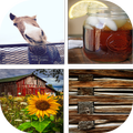 Country Wallpapers