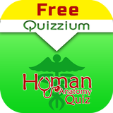 Icona Human Anatomy Quiz Free