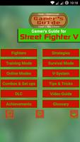 Poster Guide for Street Fighter V