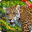 Leopard Hunter