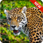 Leopard Hunter icon