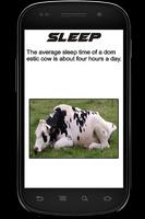 Cow Info Book Screenshot 3