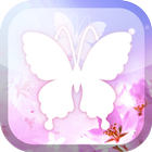 White Butterfly Live Wallpaper icône