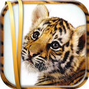 Fond d'Écran Tigre Gratuit APK