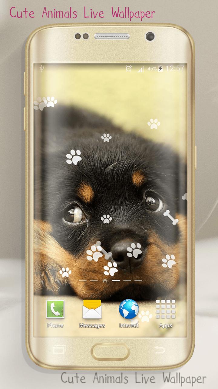 Android 用の デスクトップ 動物の壁紙 かわいい写真 Apk をダウンロード Android 用の デスクトップ 動物の壁紙 かわいい写真 Apk をダウンロード