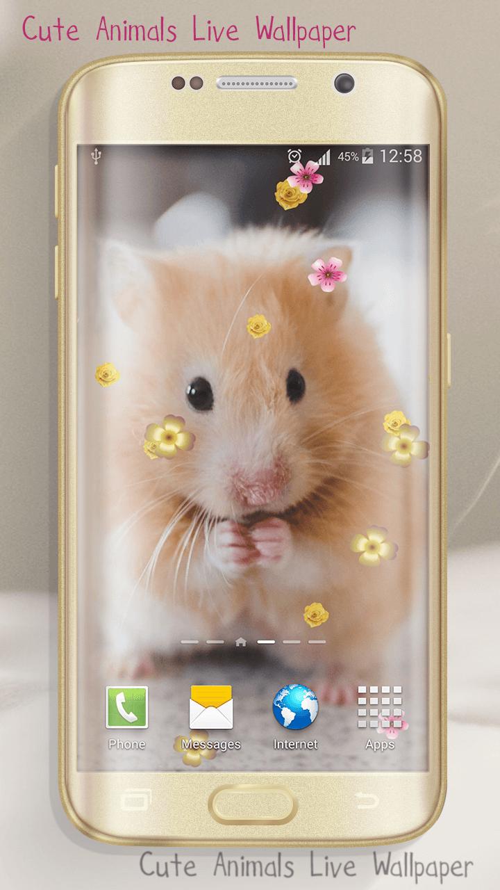 Android 用の デスクトップ 動物の壁紙 かわいい写真 Apk をダウンロード