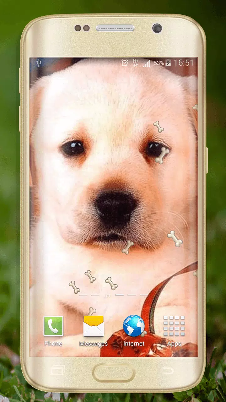 Cute Dogs Live Wallpaper APK for Android Download