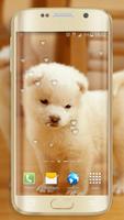 Bewegende Achtergronden Honden screenshot 1