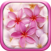 Pink Flowers Live Wallpaper