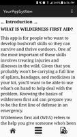 Wilderness First Aid پوسٹر
