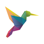 Hummingbird Insight icône