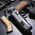 Pistol puzzle