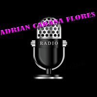 ADRIAN CABANA FLORES スクリーンショット 1