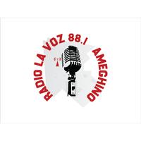 RADIO LA VOZ 88.1 captura de pantalla 1