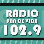 RADIO PAN DE VIDA 102.9 icon