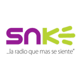 SNK RADIO 101.5 ícone