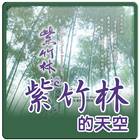 紫竹林的天空 icon