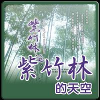 紫竹林的天空 Affiche