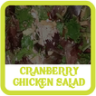 Cranberry Chicken Salad Recipe