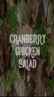 Cranberry Chicken Salad Recipe ポスター