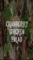 Cranberry Chicken Salad Recipe poster