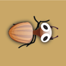 Catch Bugs - bug blitz aplikacja