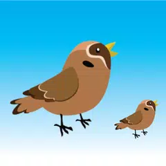 Bird Rescue - a little bird