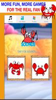 crab games for free for kids পোস্টার