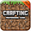 Crafting Guide Professional