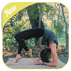 Daily Yoga - Yoga Fitness Plans icône