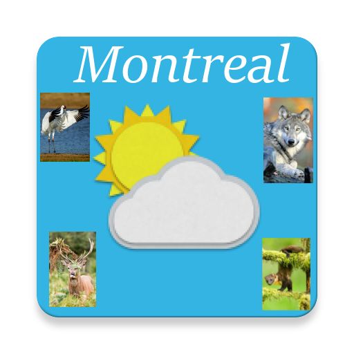 Montreal, Quebec - weather, sights and souds